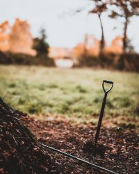 Grünschnittsammelstelle